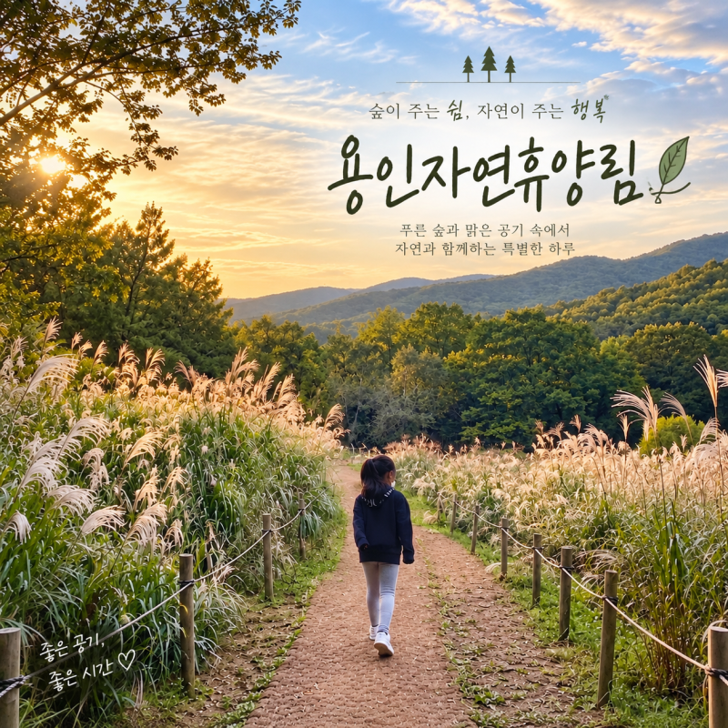 용인자연휴양림 | 아이와 가볼 만한 곳｜숲체험부터 억새길까지, 가족 나들이 추천