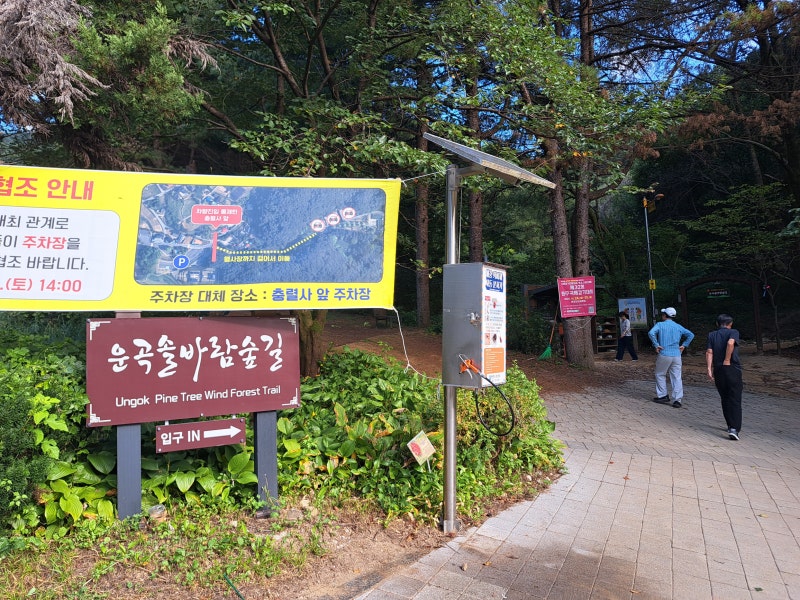 원주 가을 산책, 운곡 솔바람숲길과 반계리 은행나무