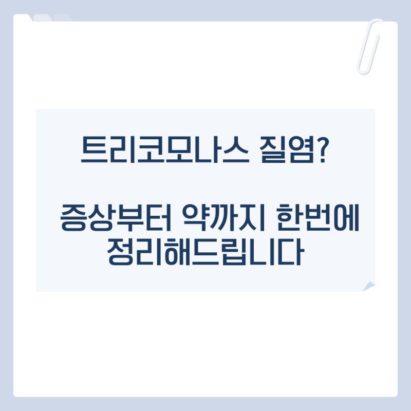 성신여대산부인과 트리코모나스 질염 증상부터 약까지 한번에 정리해드립니다