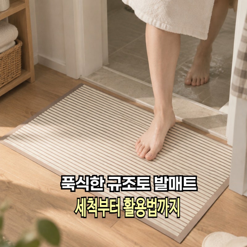 빨아쓰는 규조토 발매트 욕실부터 주방까지 세척부터 활용법까지