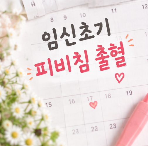 임신초기 피비침 출혈 흔한 원인과 갈색혈 꼭 검사받아야 하는 이유