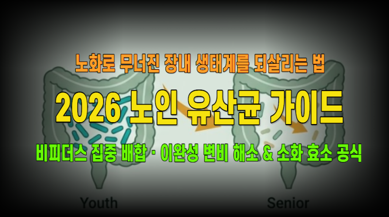2026 노인 유산균 완벽 가이드: 시니어 만성 변비·소화불량·장 면역 개선 핵심 균주(비피더스....
