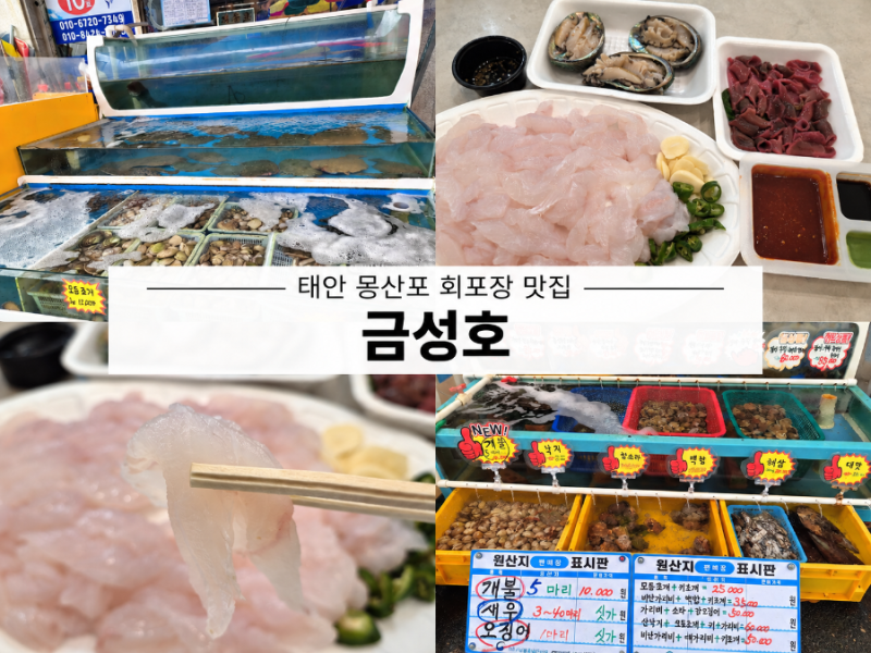 [태안몽산포회포장] 몽산포수산시장 금성호 회 포장 솔직후기