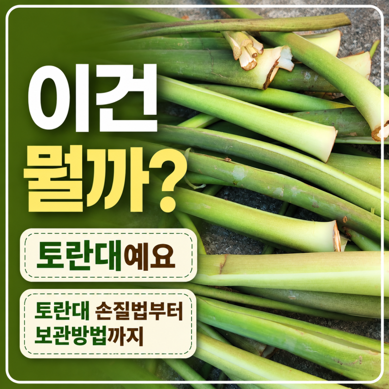 이웃에서 주신 토란대, 이렇게 손질했어요