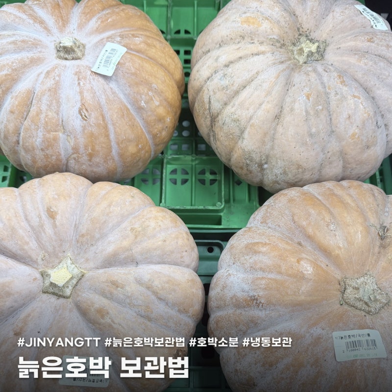 늙은 호박 보관법, 실온보관이 능사가 아니예요! 소분후 냉동까지
