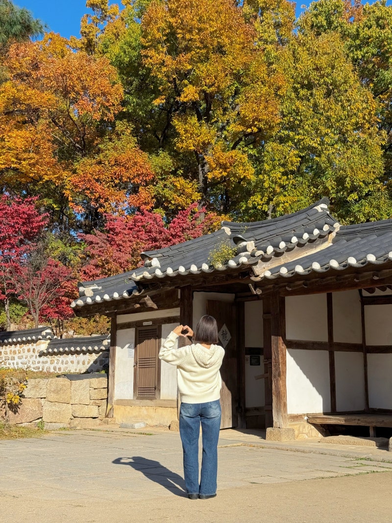 서울 피크닉 가을 나들이 북서울꿈의숲 전망대 주차요금
