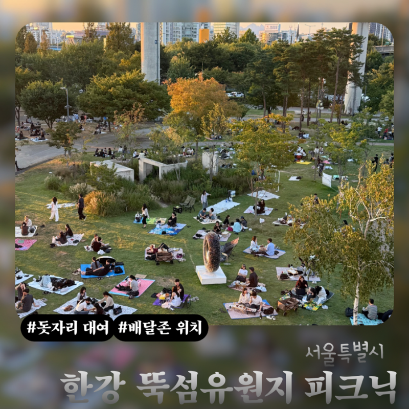 한강 뚝섬유원지 배달존&돗자리존 위치 | 돗자리 대여 장소와 오리배 가격