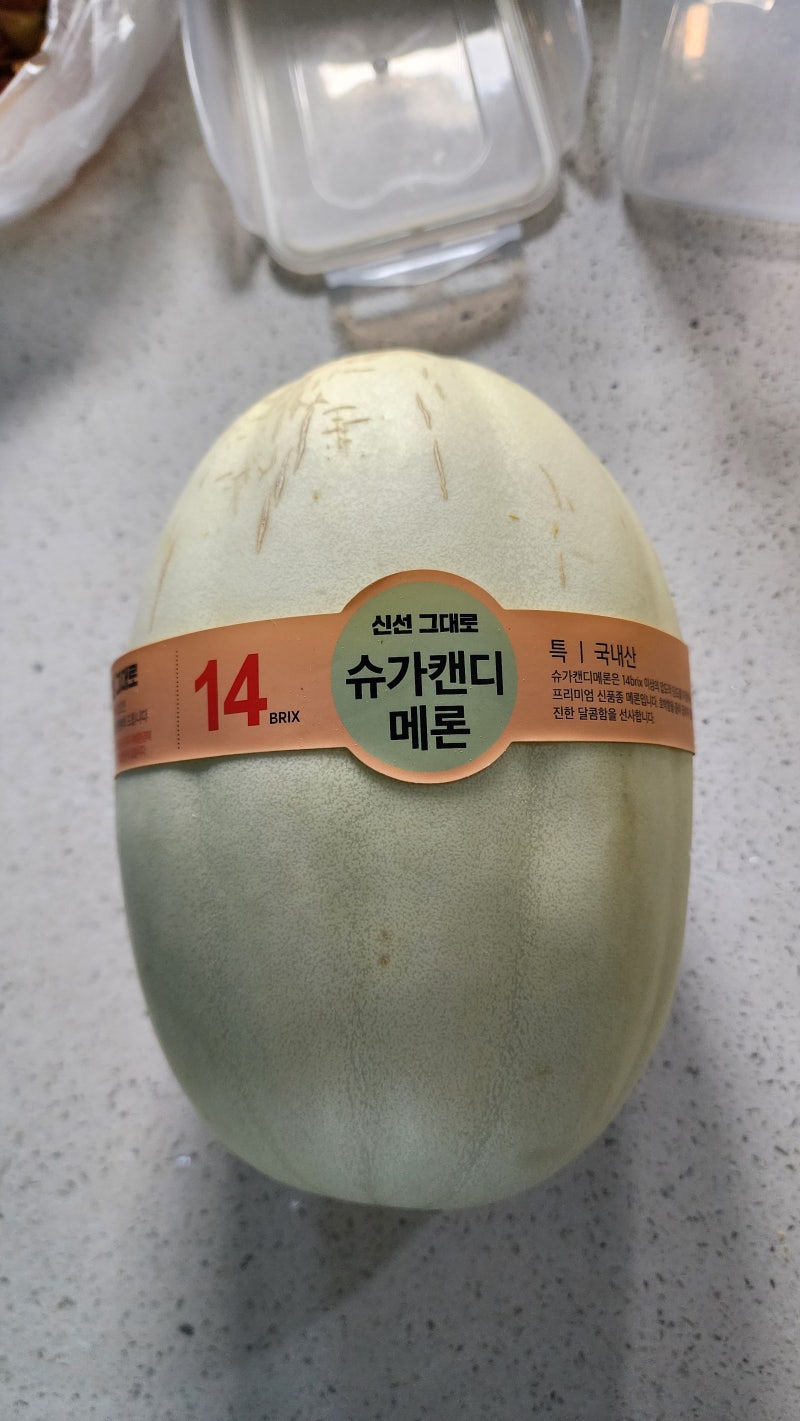메론의 신품종 특품 슈가캔디메론 후기 맛