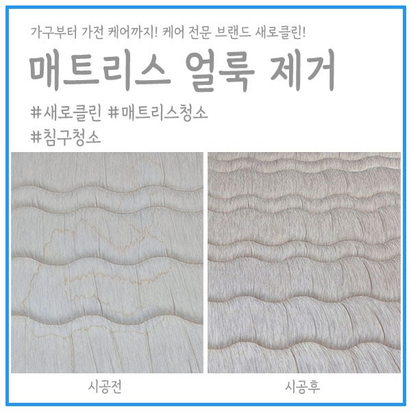 침대청소 매트리스 소변 얼룩제거 침대에 남은 소변 자국과 냄새까지 단계별로 관리했어요