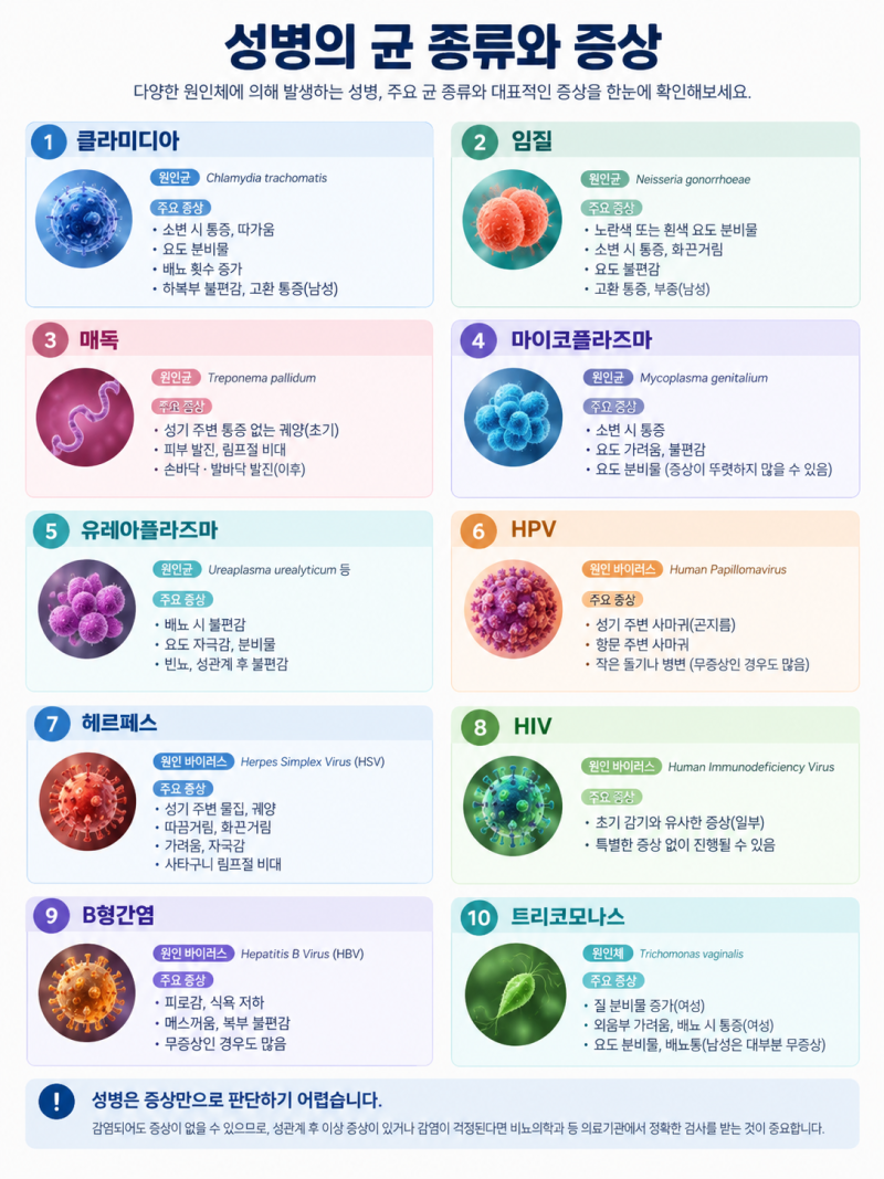 무증상 성병 검사 종류 (클라미디아 임질 매독 HPV HSV 헤르페스 바이러스 기생충)