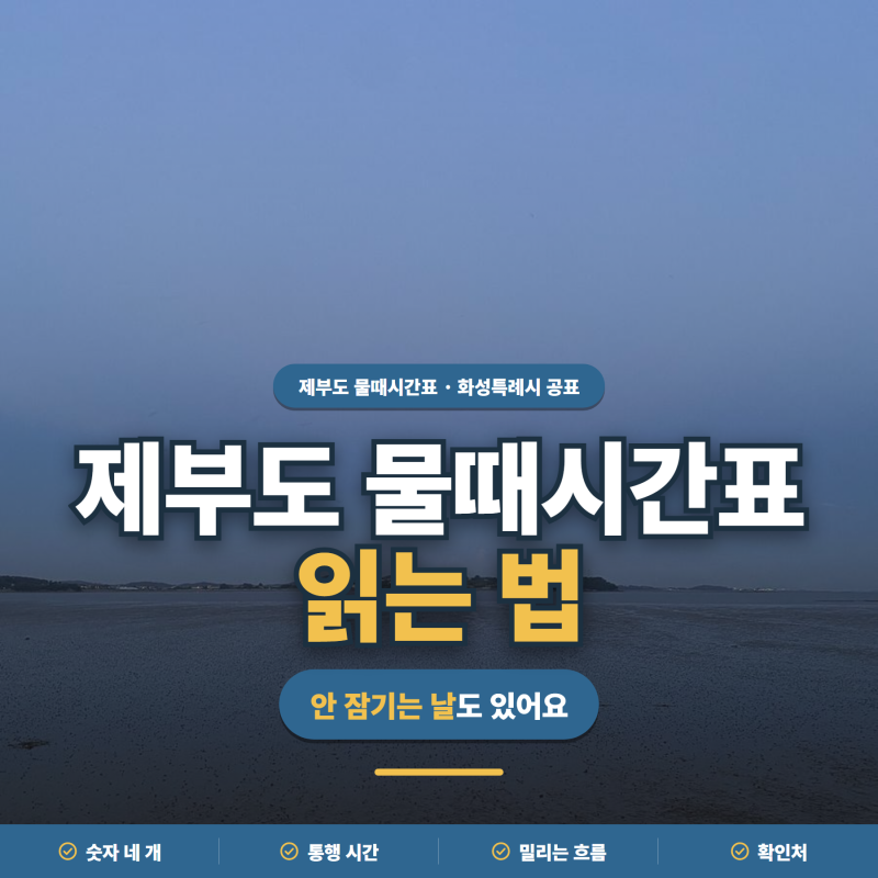 막 들어가면 자고 나와야한다고?ㅣ제부도 물때시간표 보는 법·통행시간