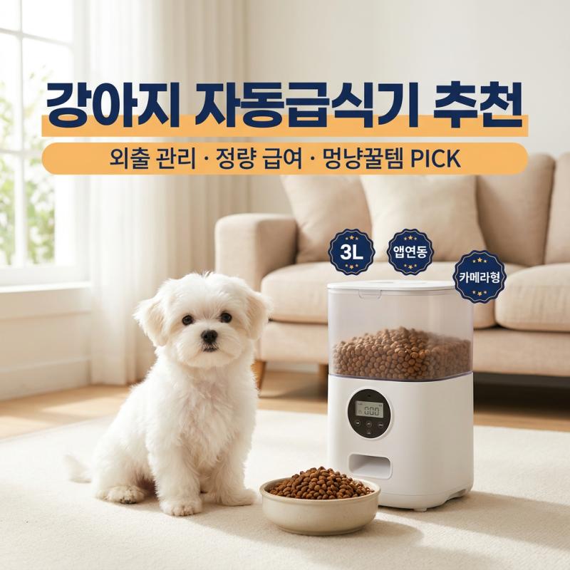강아지 자동급식기 추천, 맞벌이 보호자가 볼 기능 비교