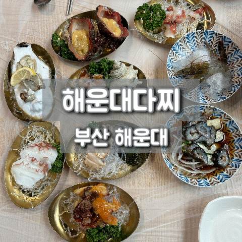 해운대다찌 부산 해운대횟집 코스요리 다찌 맛집 추천 솔직 후기