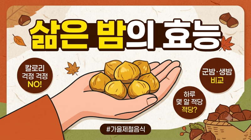 삶은 밤 효능 7가지 — 칼로리·하루 섭취량·부작용