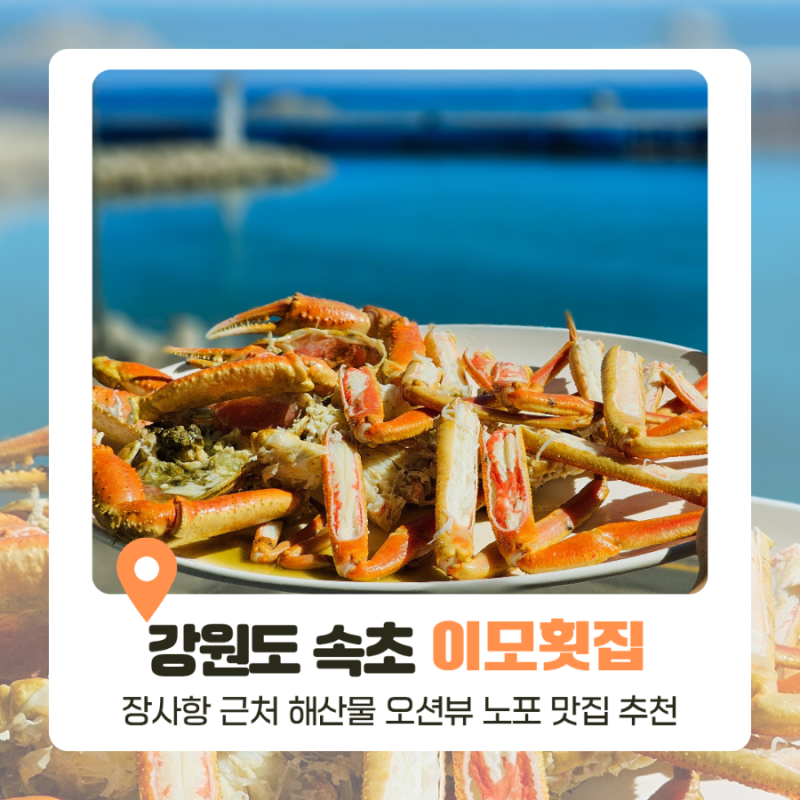 속초 등대해수욕장 근처 이모회집 속초 대게 로컬 맛집 추천 후기