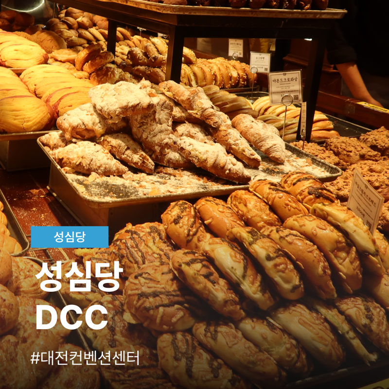 대전 성심당 dcc점, 주차 웨이팅 빵 종류 총정리 초코찰빵 추천