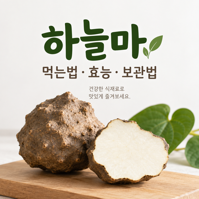 하늘마 먹는법 효능 먹는 방법과 보관법 알아보기