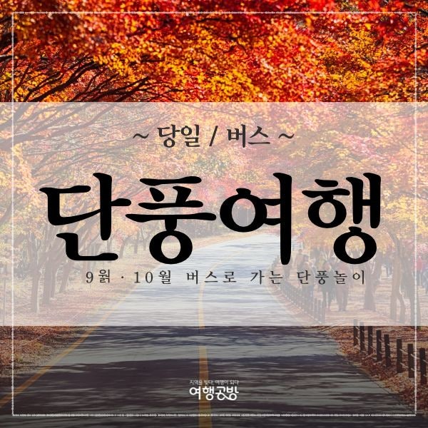 가을 단풍 당일치기 버스여행 추천 6곳 | 내장산·강천산·지리산 단풍명소 총정리