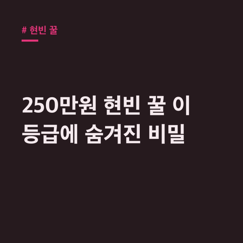 玄彬的蜂蜜，250萬韓元麥蘆卡蜂蜜等級選擇方法 (feat. 孫藝珍)