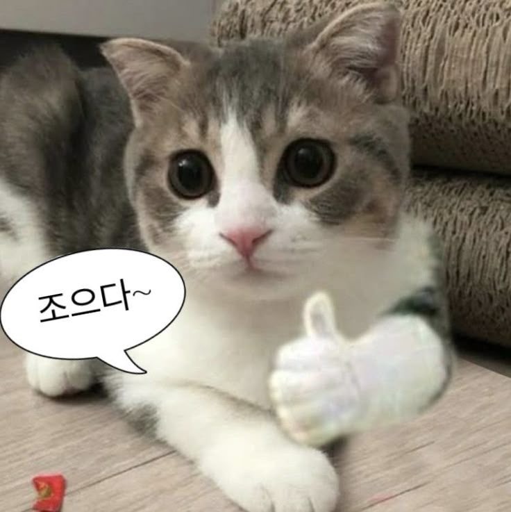 8개월 아기 | 중기 이유식 | 밥솥 이유식 레시피 | 내맘대로 얼렁뚱땅