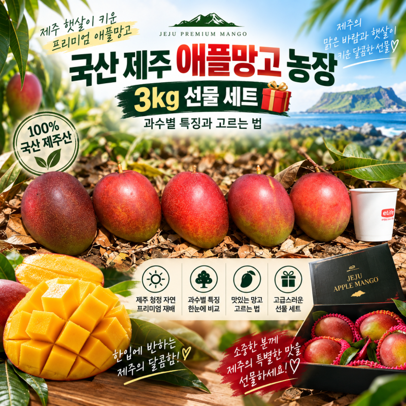 국산 제주 애플망고 농장 3kg 선물 세트 과수별 특징과 고르는 법
