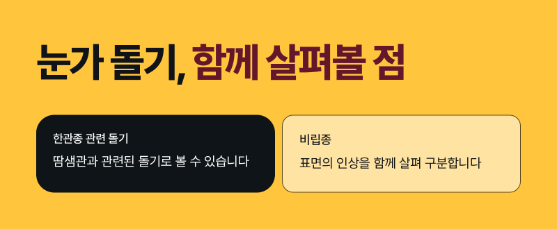 한관종, 비립종과 어떻게 다를까요? 눈가 오돌토돌함 구분