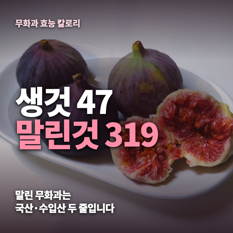 무화과 효능 칼로리 — 생무화과 47, 말린 무화과 국산 254·수입산 319