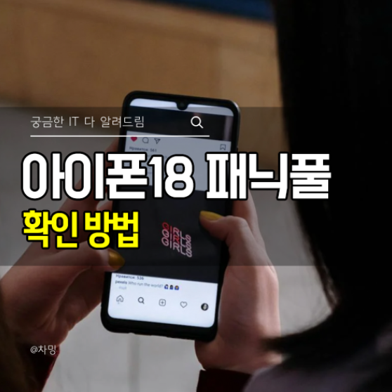 아이폰18 프로 패닉풀 확인 방법, 갑자기 꺼짐 재부팅되면 불량일까?