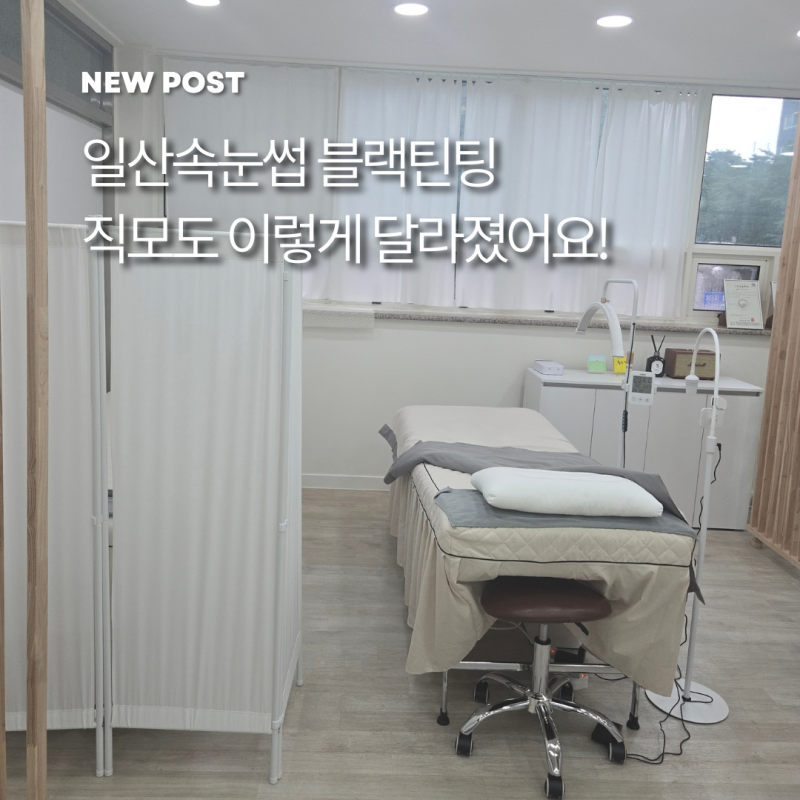 속:눈썹에서 눈 찌르던 직모 해결! 일산속눈썹 블랙틴팅펌 후기