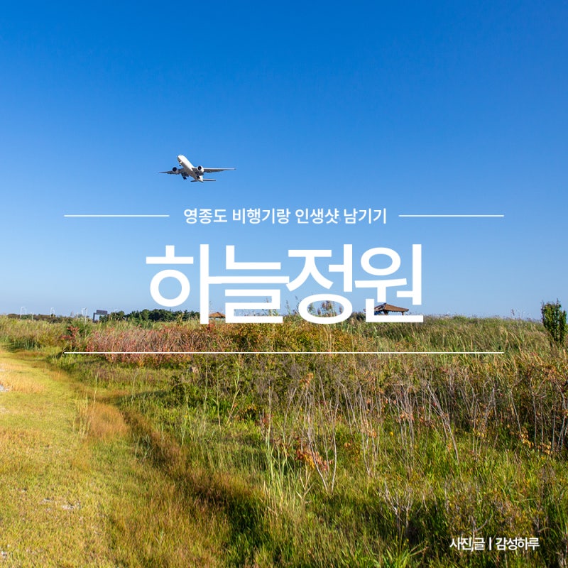 영종도 코스모스 차박 명소였던 하늘정원 하늘공원 9월 근황 주차장
