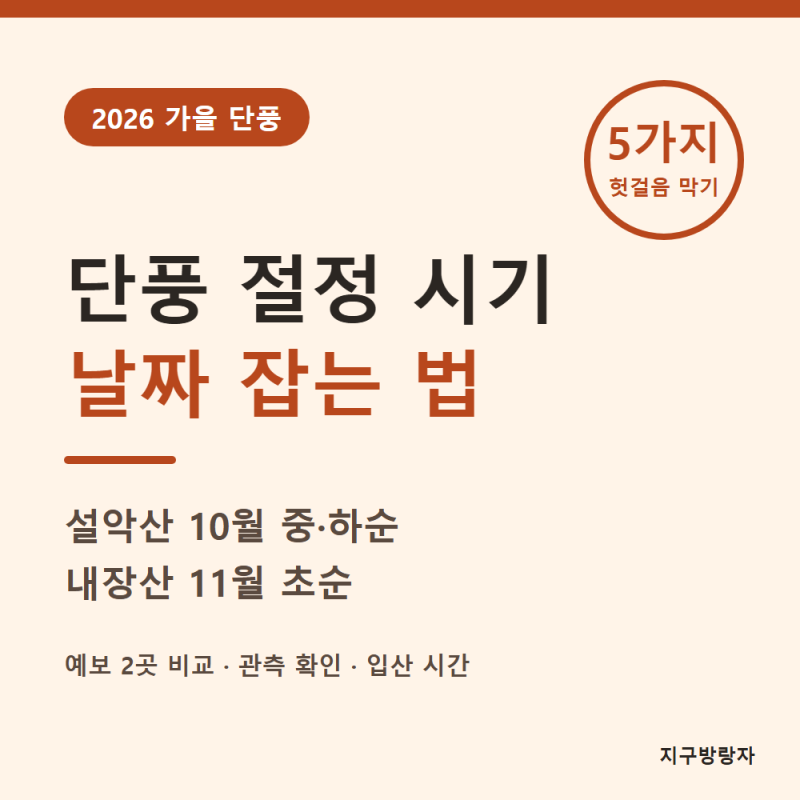 단풍 절정 시기 2026, 설악산·내장산 날짜 잡는 5가지