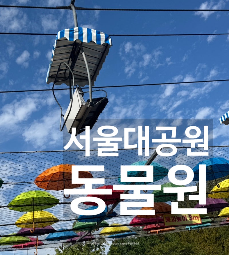 과천 서울대공원 동물원 추천코스, 입장료 리프트 패키지 정리(26년까지 운영)
