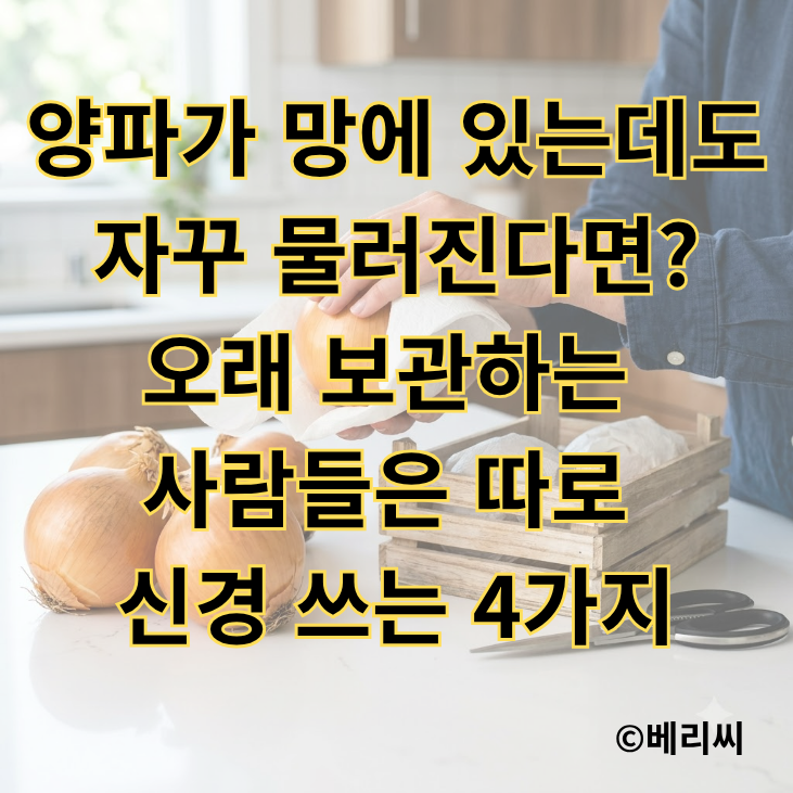 양파가 망에 있는데도 자꾸 물러진다면?｜오래 보관하는 사람들은 따로 신경 쓰는 4가지
