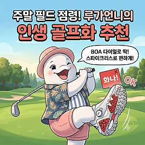 남성 골프화 추천 아디다스 코드케이오스 스파이크리스 보아 후기