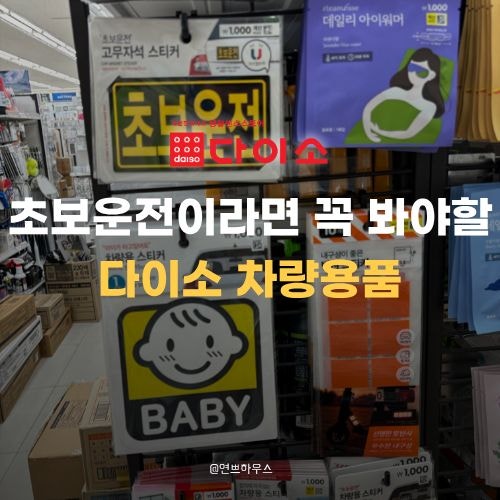 에 필요한 용품을 처음 준비한다면… 다이소에서 4가지만 먼저 확인해보세요
