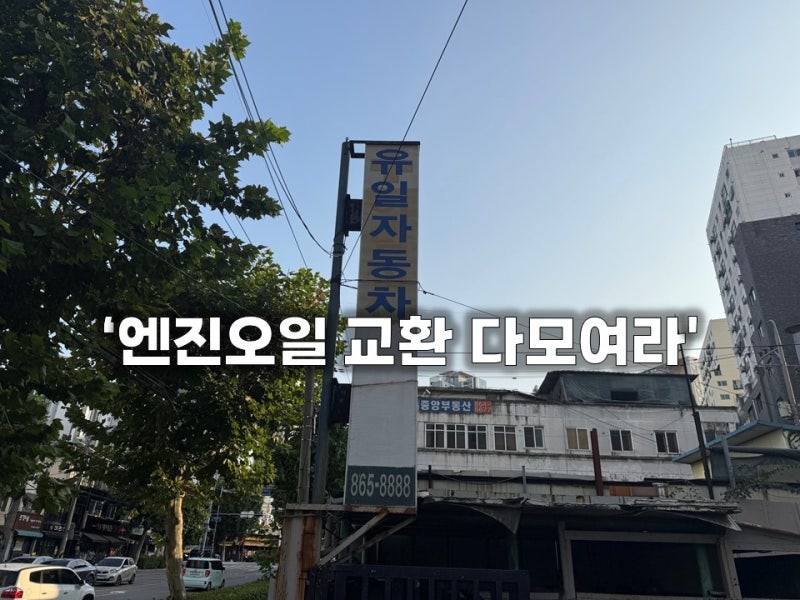 "장거리 주행 준비 완료!" 그랜저 GN7 하이브리드 엔진오일 교환 주기 확인하고 비용은 저렴하....