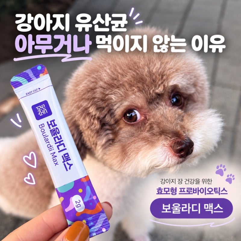 강아지 장 건강 영양제 추천, 보울라디 맥스가 특별한 이유