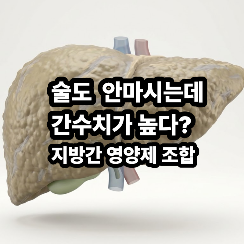 AST ALT 수치 높음 원인, 술 안 마셔도 생기는 비알코올성 지방간 영양제 조합