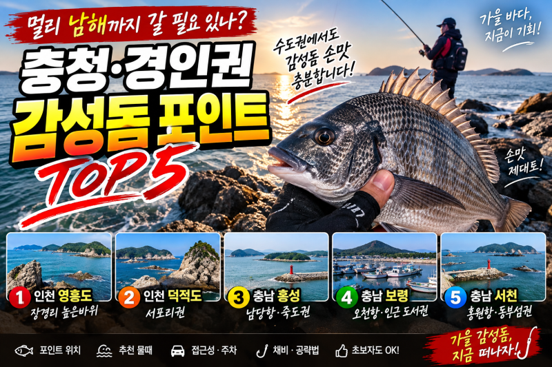 [나눔꾼 핫픽] 2026 9월 충청·경인권 감성돔 낚시 포인트 TOP5