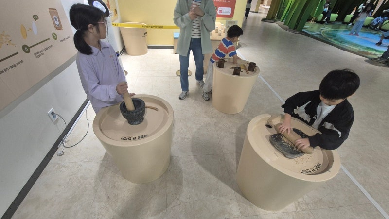 용인, 수원 아이와 가볼만한 곳 수원국립농업박물관 어린이박물관, 푸드코트 위치