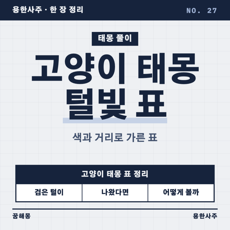고양이 태몽 털빛과 자리별 풀이, 헷갈리는 대목까지 한 장에