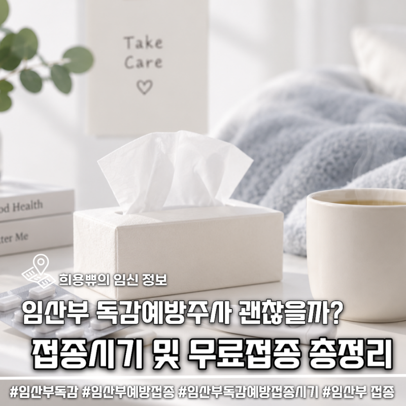 임산부 독감예방주사 임신초기도 괜찮을까? 접종시기 무료접종 총정리