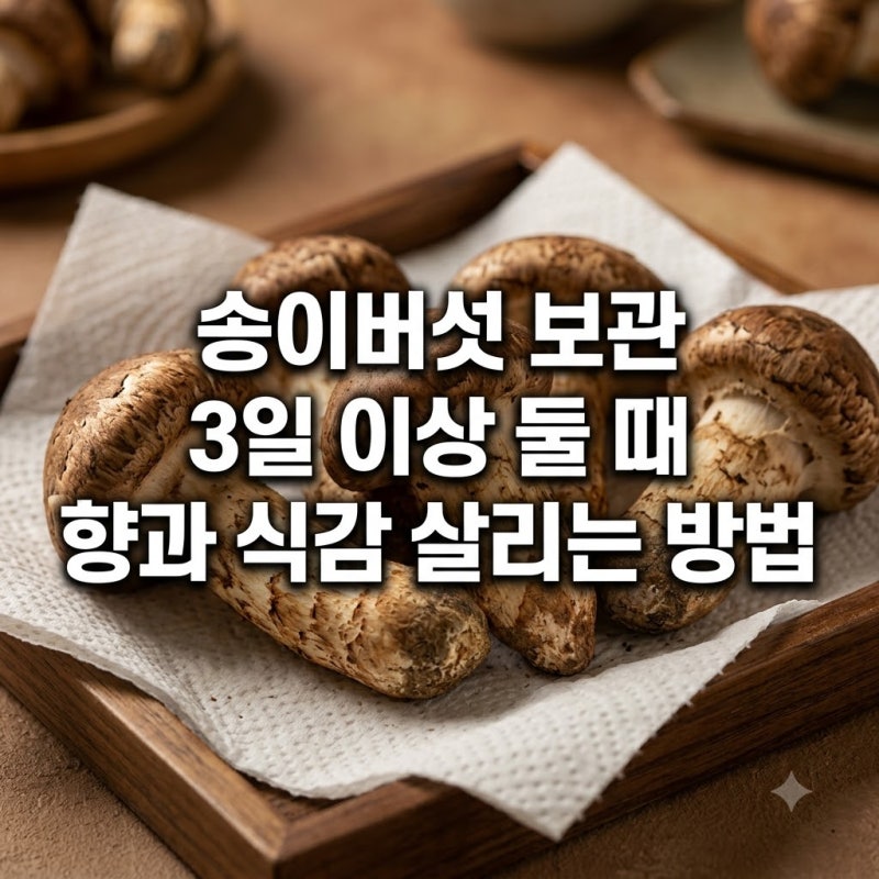 송이버섯 보관 3일 이상 둘 때 향과 식감 살리는 방법