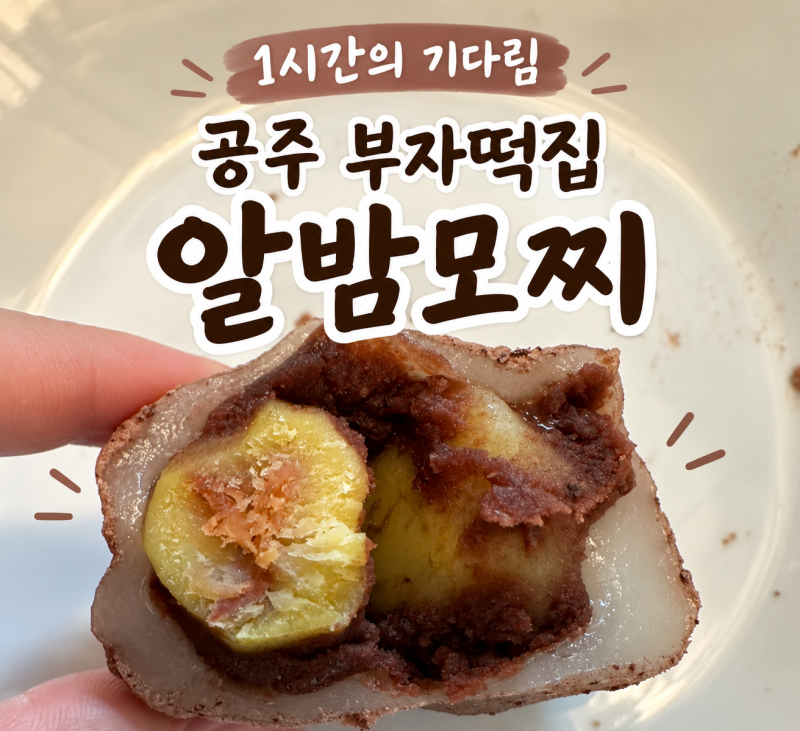 공주 부자떡집 알밤모찌｜두 번 먹어본 후기와 보관 해동 방법