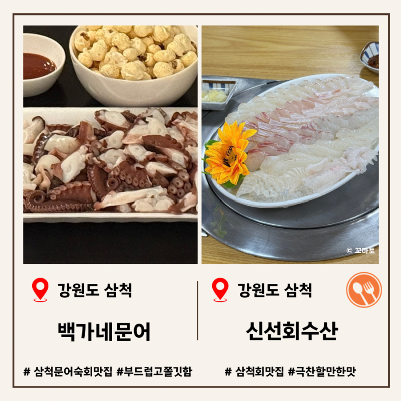 [삼척] 삼척중앙시장 먹거리 추천 문어숙회맛집 회맛집 가볼만한곳 | 강원도 삼척 '백가네문....