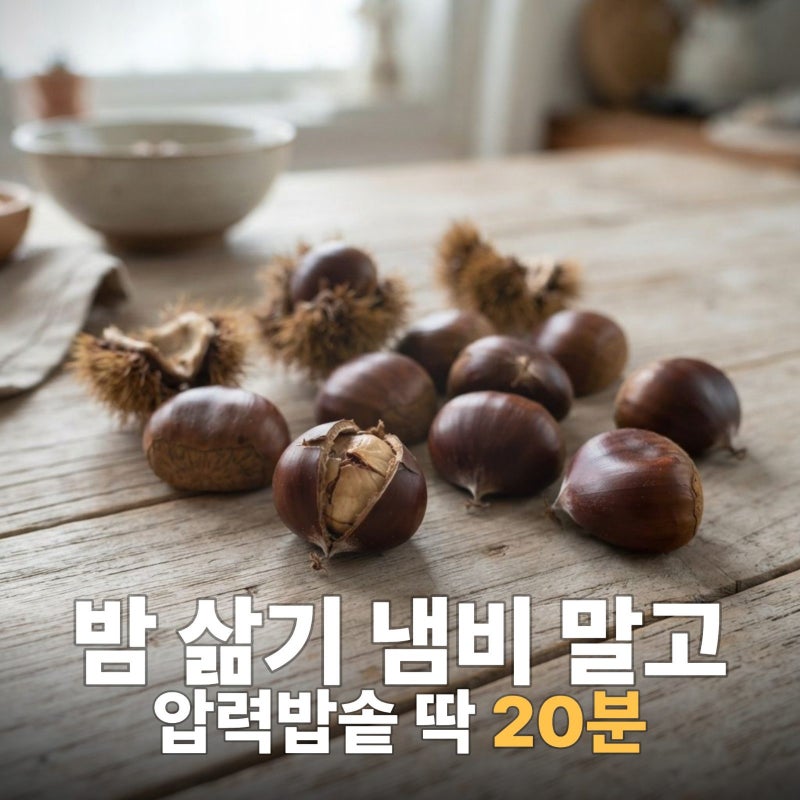 밤 삶는 방법 압력밥솥 활용 꿀팁, 압력밥솥 밤 삶기, 밤 찌는법, 밤 고르는법, 가을제철음식....
