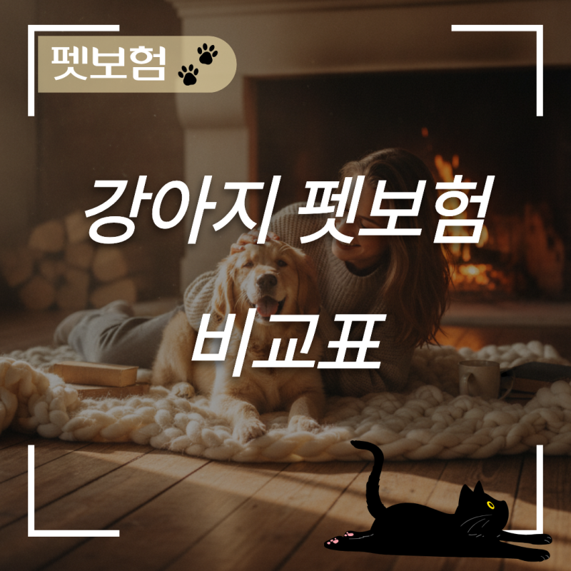 반려견 실손의료비 손해를 줄이는 강아지 펫보험 비교표 체크포인트