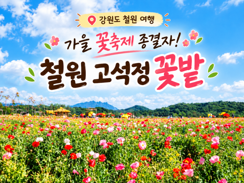 [강원도 철원 여행] 가을 꽃축제 종결자! '철원 고석정 꽃밭' 입장료, 주차, 꿀팁 총정리