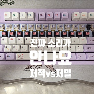 극강의 저소음 스위치 등장! 그루브스톤 저소음 적축 vs 저소음 밀키축 (비교타건 영상있음)