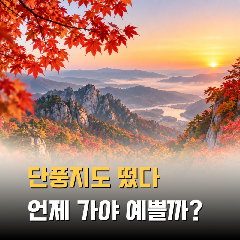 “단풍지도 떴다” 2026 단풍 절정 시기, 대체 언제 가야 제일 예쁠까?